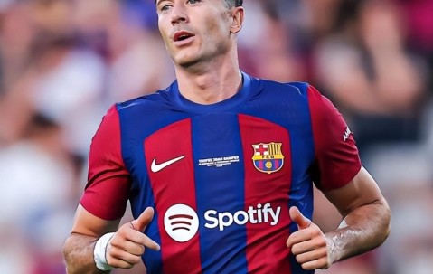 熊猫体育-包含莱万多夫斯基关键节点战术调整，TL带队取胜！的词条