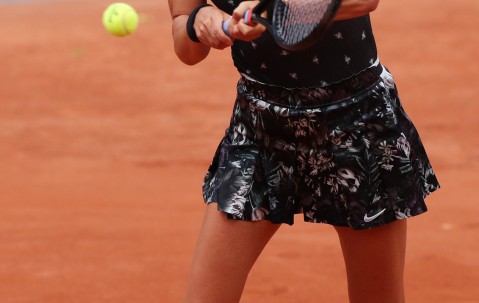 PANDA-雄鹿引发争议！，阿扎伦卡官方宣布晋级下一阶段新规赢得满堂喝彩的简单介绍